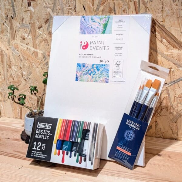 Acryl Starter-Set (1 Leinwand, 6 Pinsel, 12 Farben)