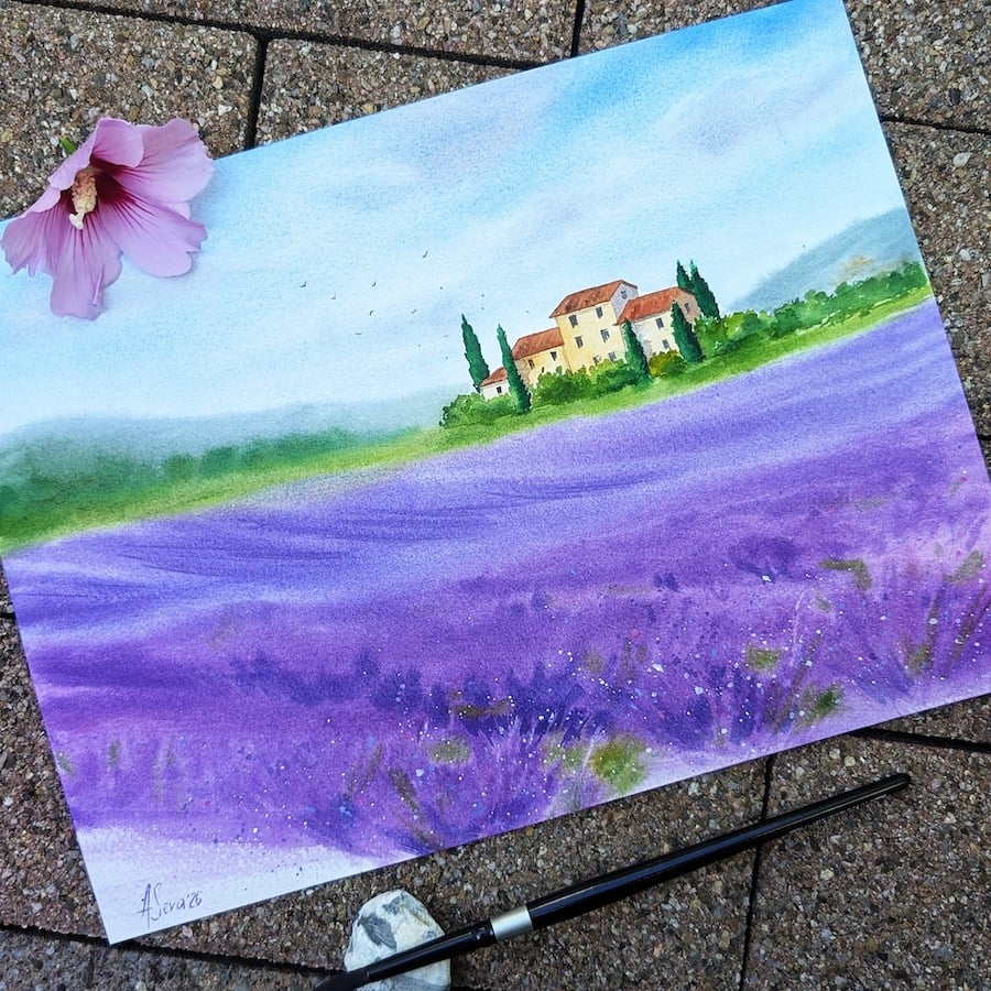 Lavender-Field